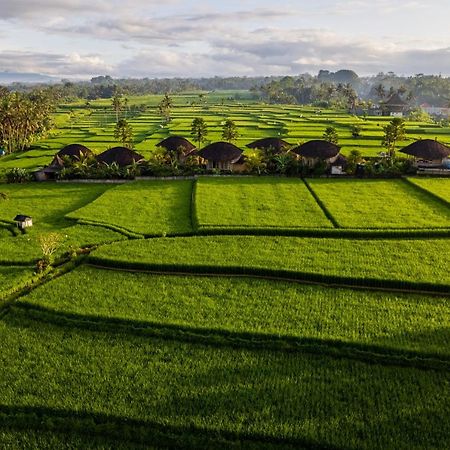 Padi Bali Eco Villas Payangan Extérieur photo