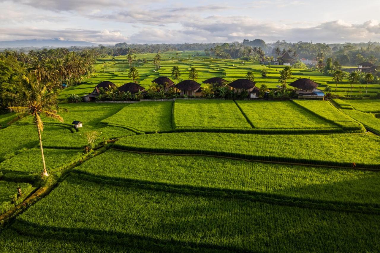 Padi Bali Eco Villas Payangan Extérieur photo