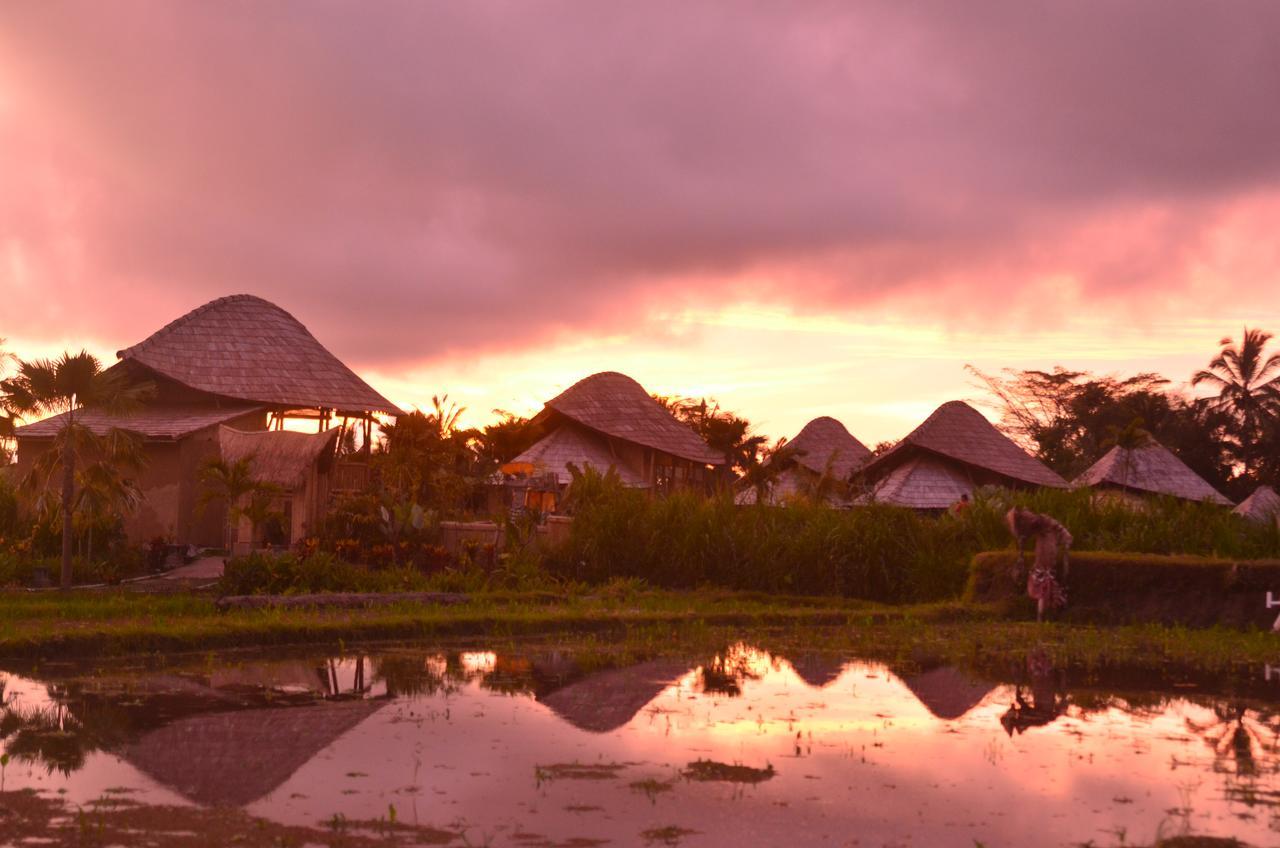 Padi Bali Eco Villas Payangan Extérieur photo