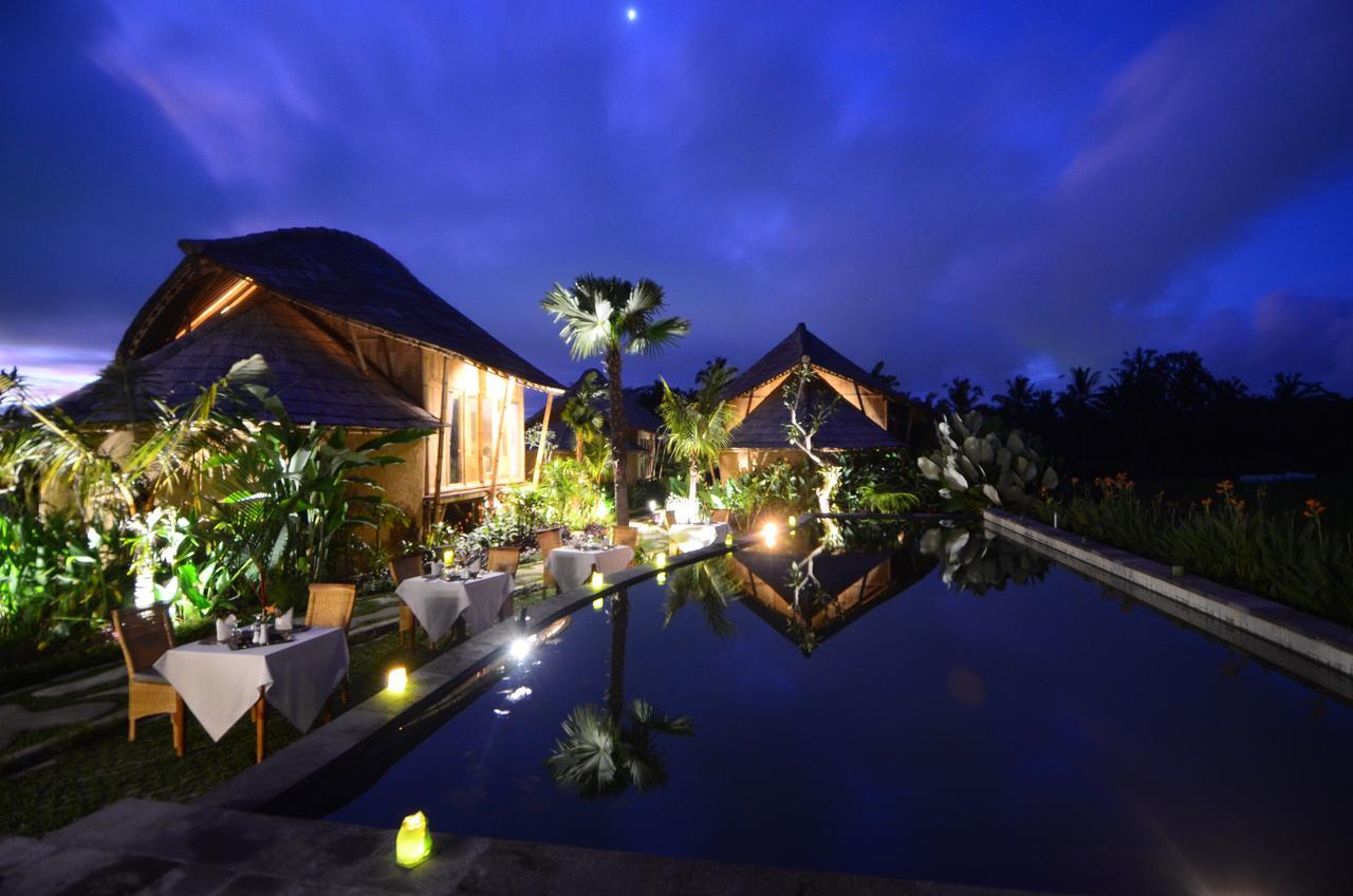 Padi Bali Eco Villas Payangan Extérieur photo