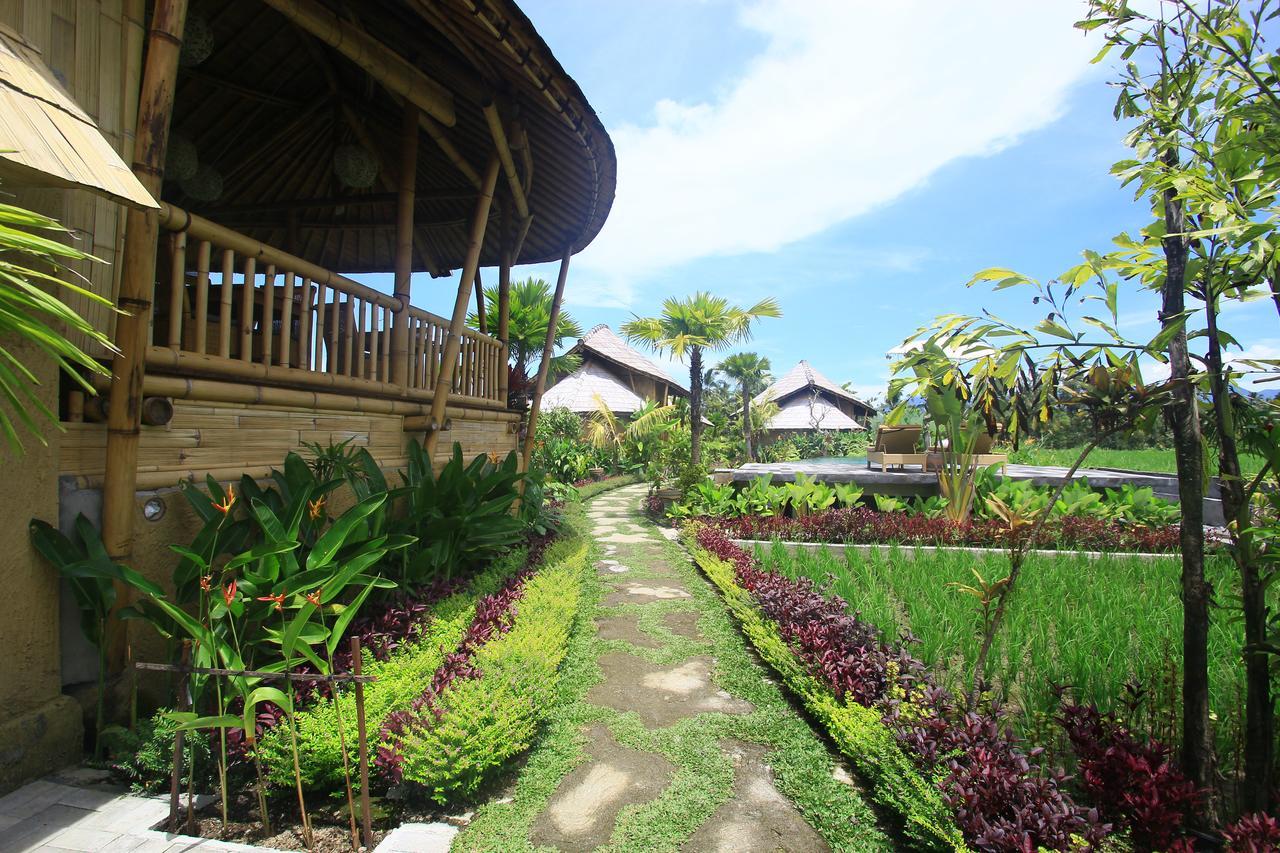 Padi Bali Eco Villas Payangan Extérieur photo