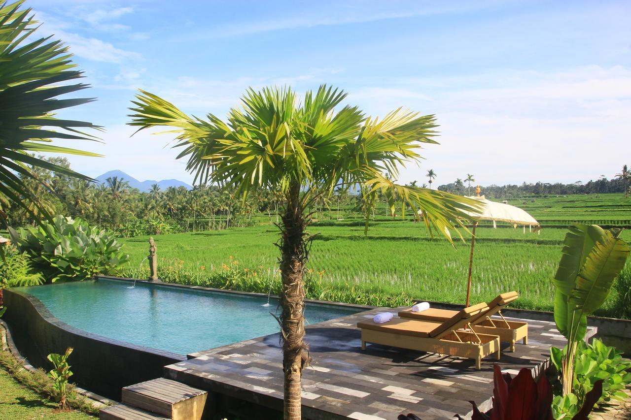 Padi Bali Eco Villas Payangan Extérieur photo