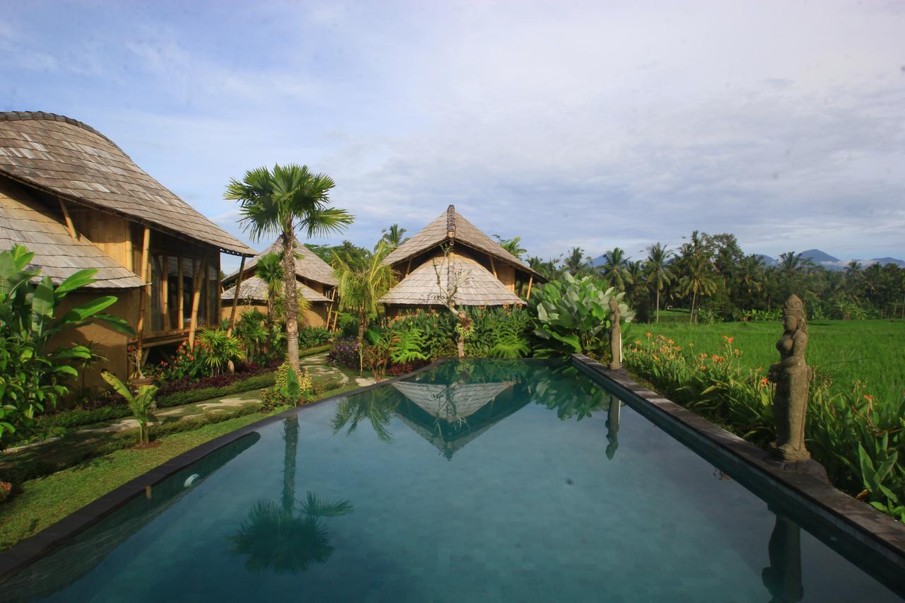 Padi Bali Eco Villas Payangan Extérieur photo