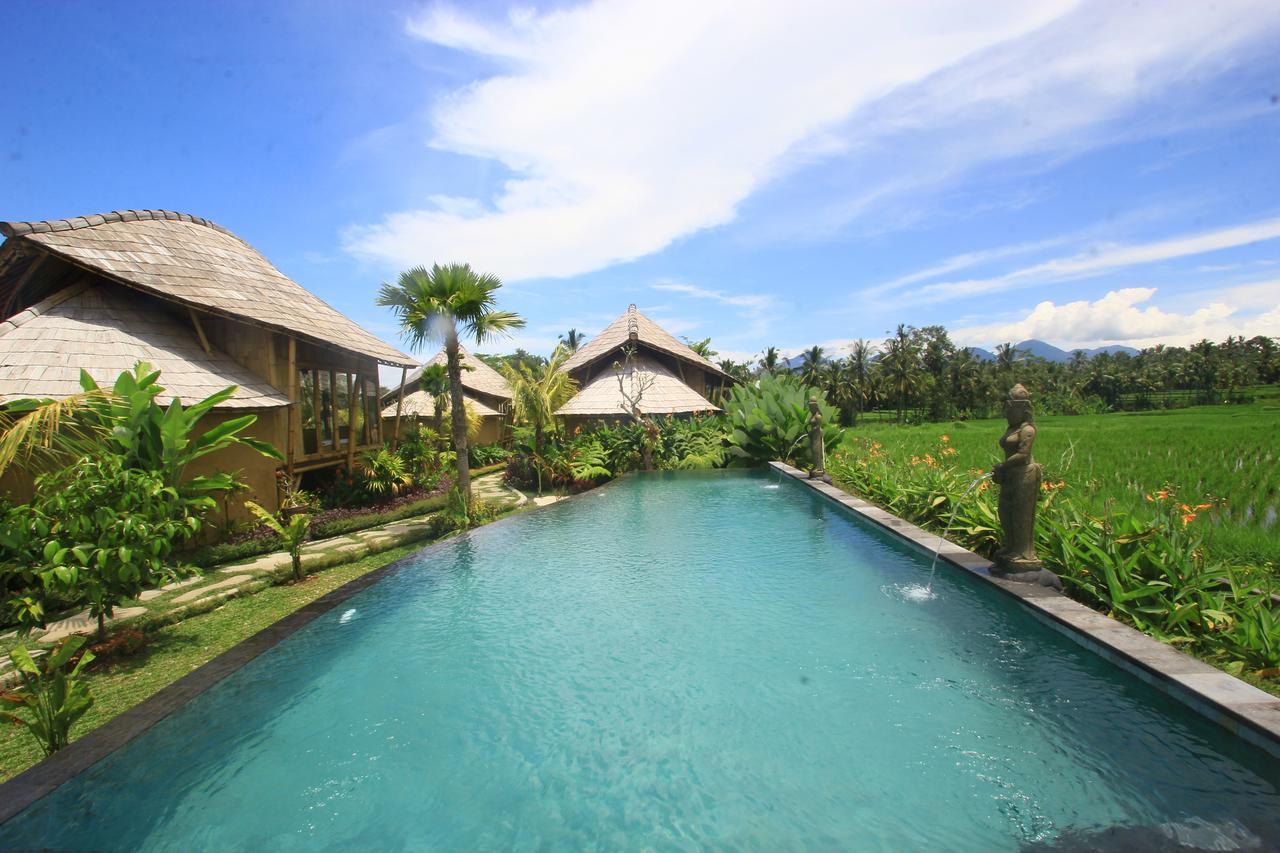 Padi Bali Eco Villas Payangan Extérieur photo