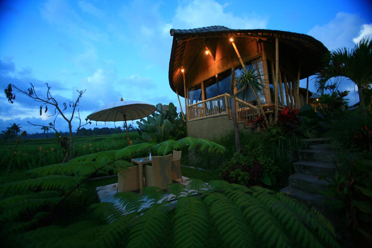 Padi Bali Eco Villas Payangan Extérieur photo