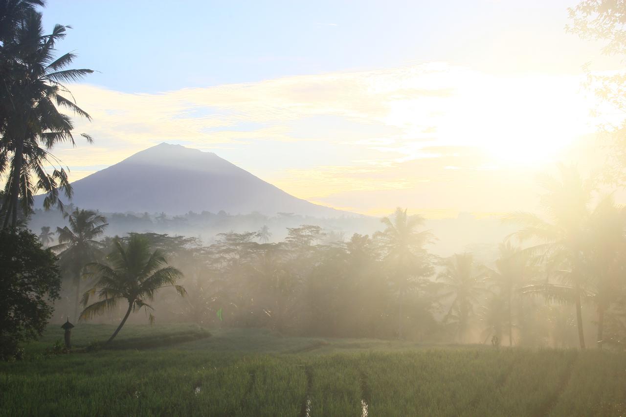 Padi Bali Eco Villas Payangan Extérieur photo