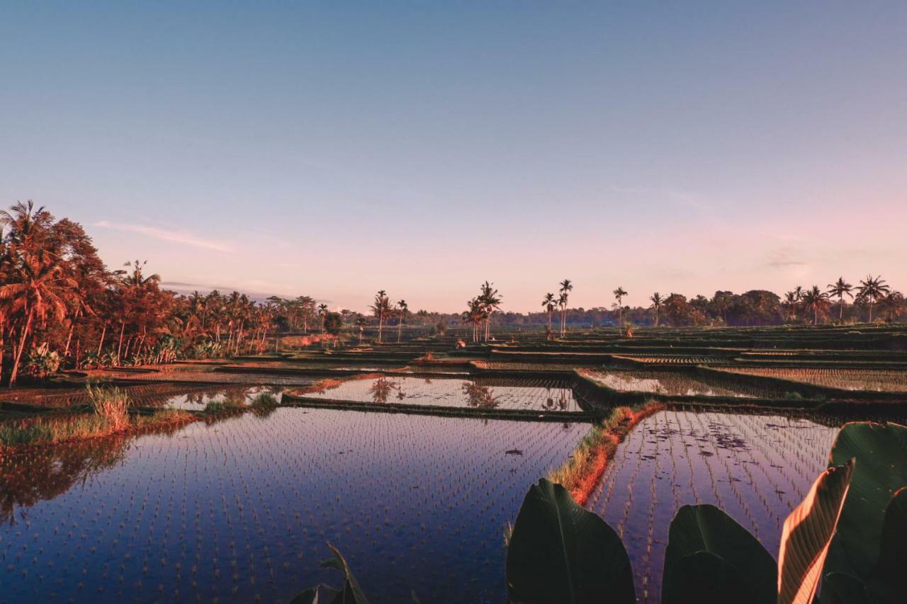 Padi Bali Eco Villas Payangan Extérieur photo